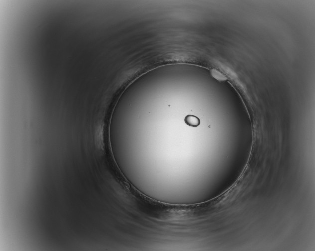 X0000090410154200707201106