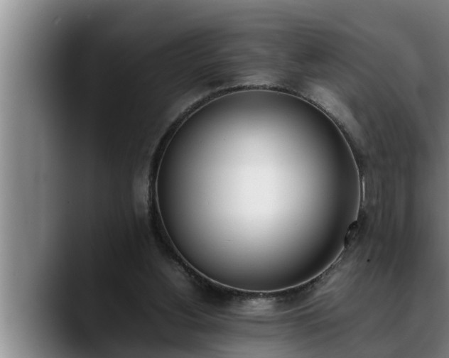 X0000090410156200707201106