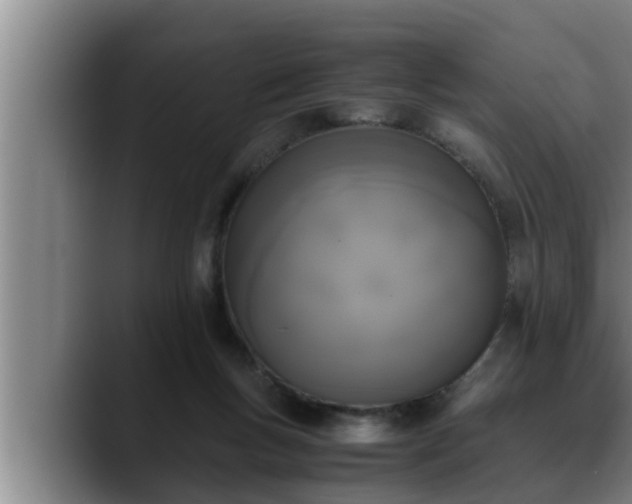 X0000090410167200707201106