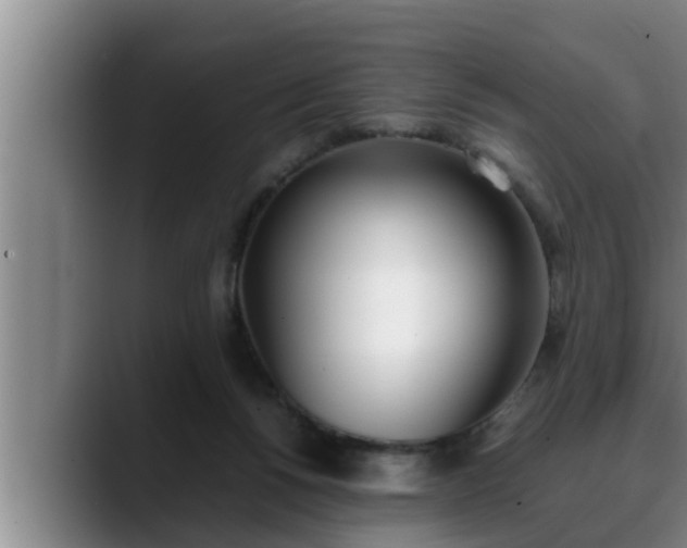 X0000090410168200707201106