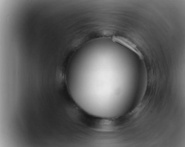 X0000090410176200707201107