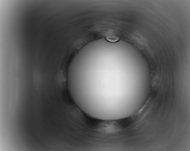 X0000090410179200707201107
