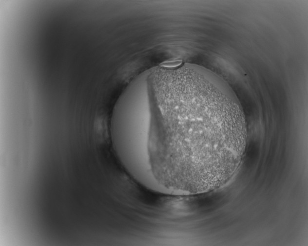 X0000090410182200707201107
