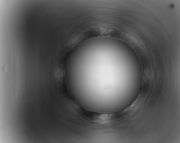 X0000090410184200707201107