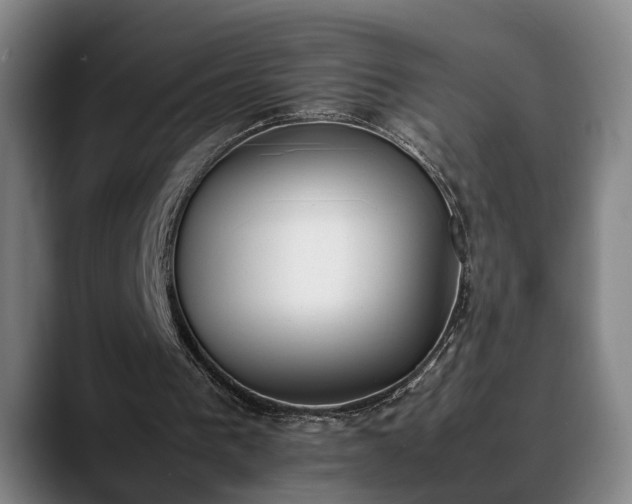 X0000090410193200707201106