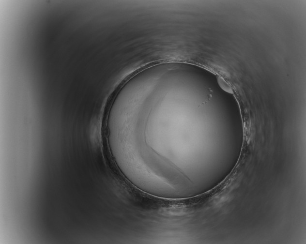 X0000090410196200707201106