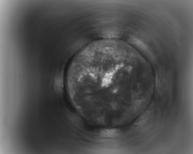 X0000090410202200707201106