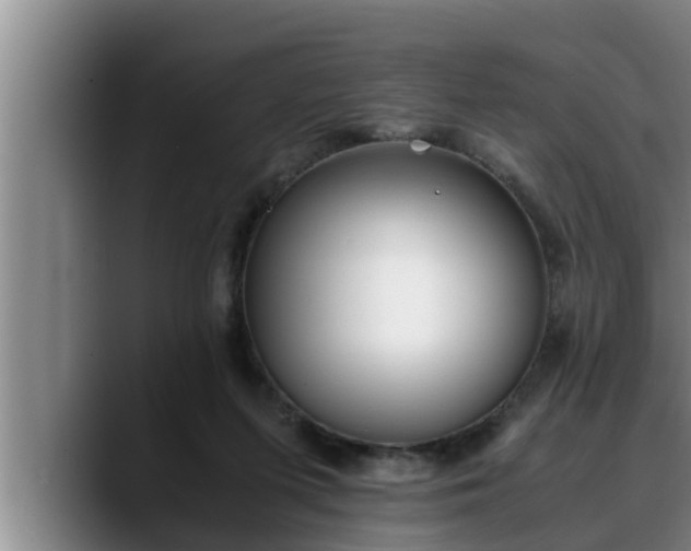 X0000090410215200707201106