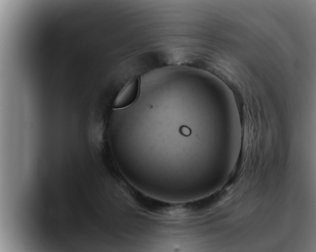 X0000090410219200707201106