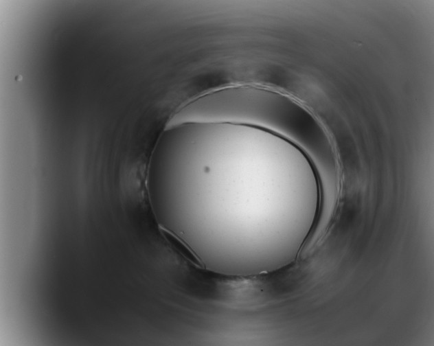 X0000090410237200707201106