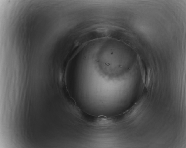X0000090410239200707201106