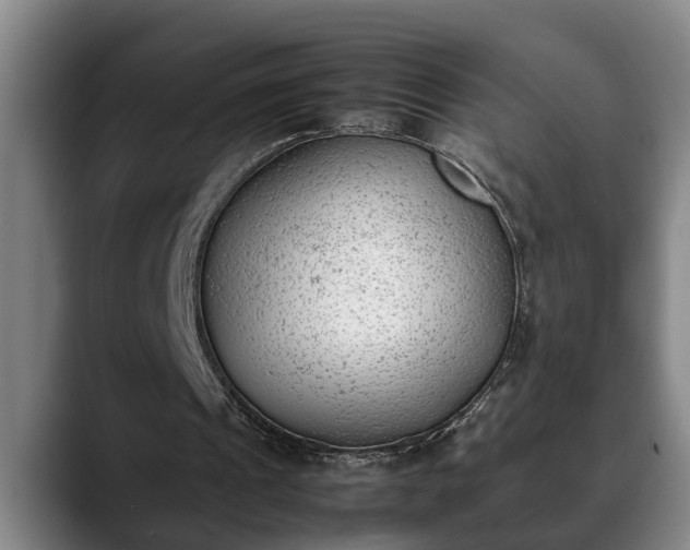 X0000090410241200707201105