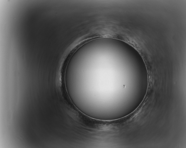 X0000090410246200707201105