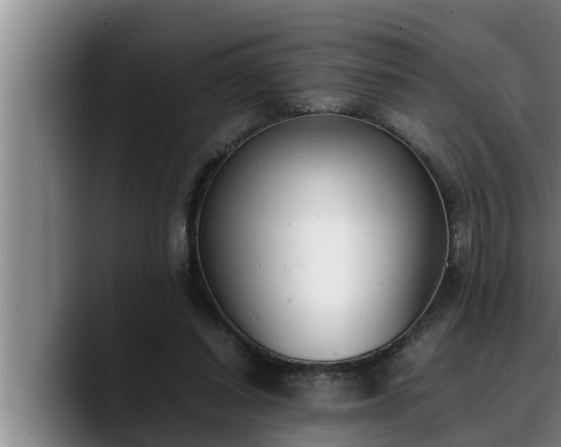 X0000090410254200707201105