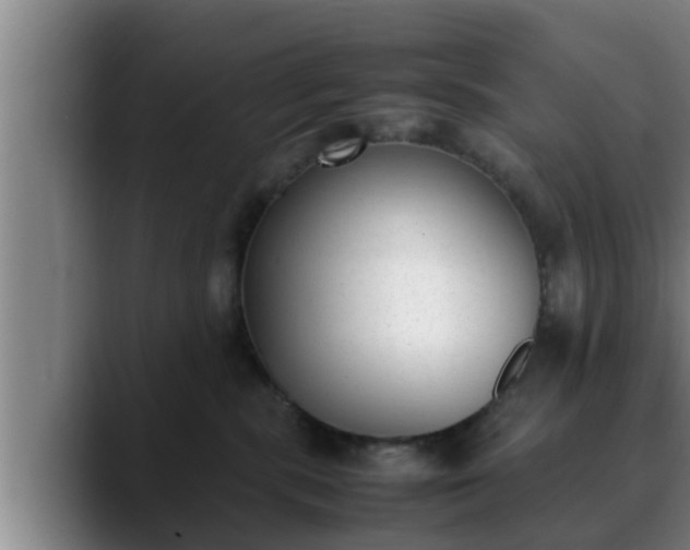 X0000090410283200707201106