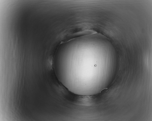 X0000090410288200707201106