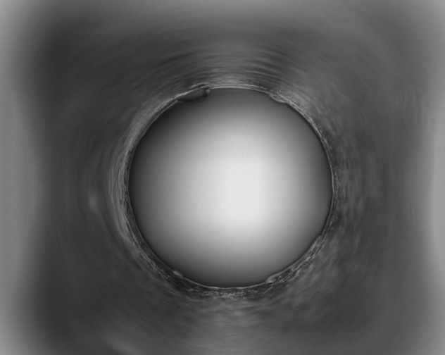 X0000090410289200707201105