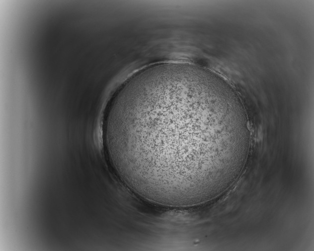 X0000090410294200707201105