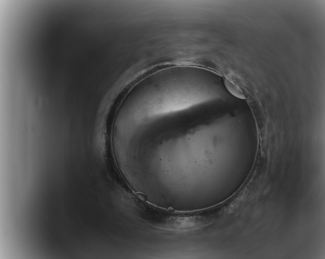 X0000090410295200707201105