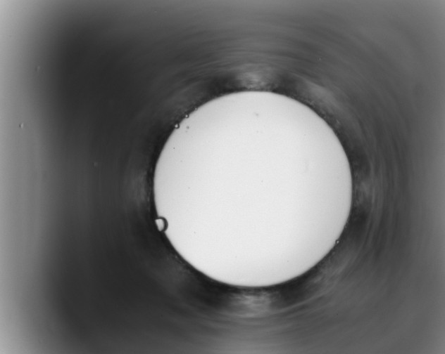 X0000090410317200707201105