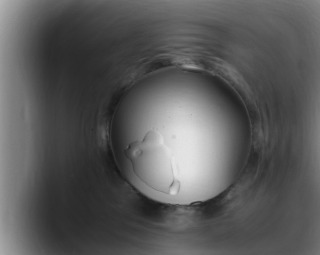 X0000090410329200707201105