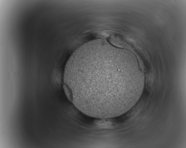 X0000090410331200707201105