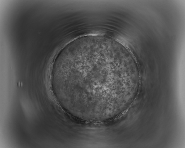 X0000090410337200707201104