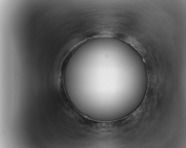 X0000090410338200707201104