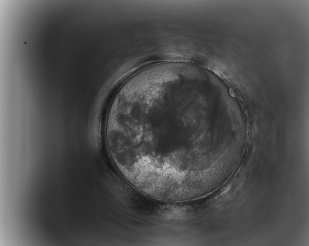 X0000090410343200707201104