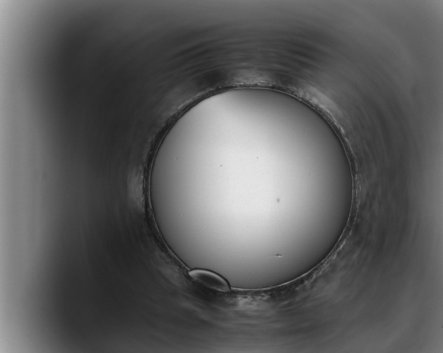 X0000090410345200707201104