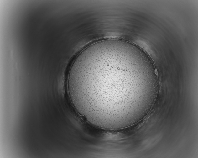 X0000090410346200707201104