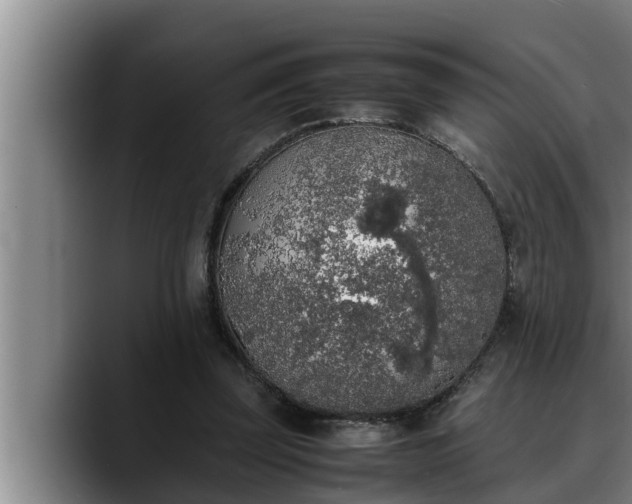 X0000090410347200707201104