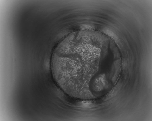 X0000090410353200707201104