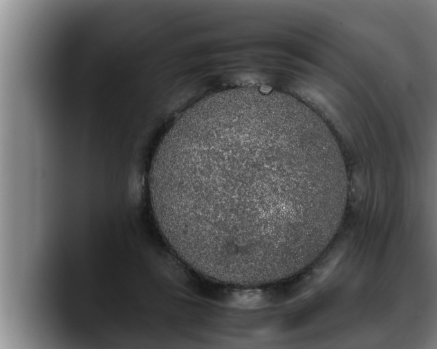 X0000090410355200707201104