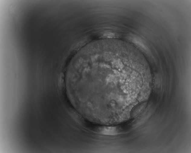 X0000090410361200707201104