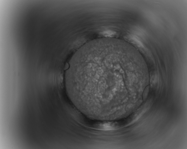 X0000090410365200707201104