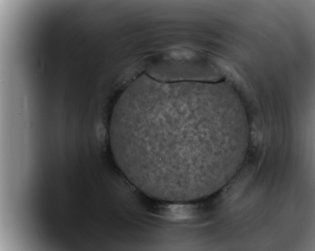 X0000090410371200707201104