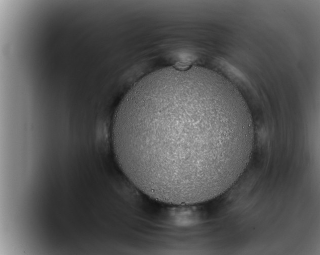 X0000090410373200707201104