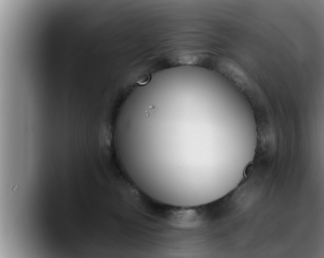 X0000090410374200707201104