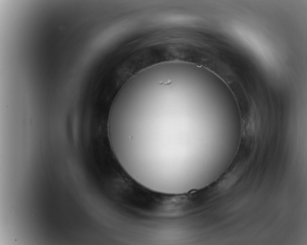 X0000090410382200707201104