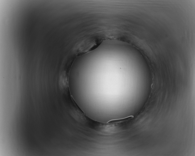 X0000090410384200707201105