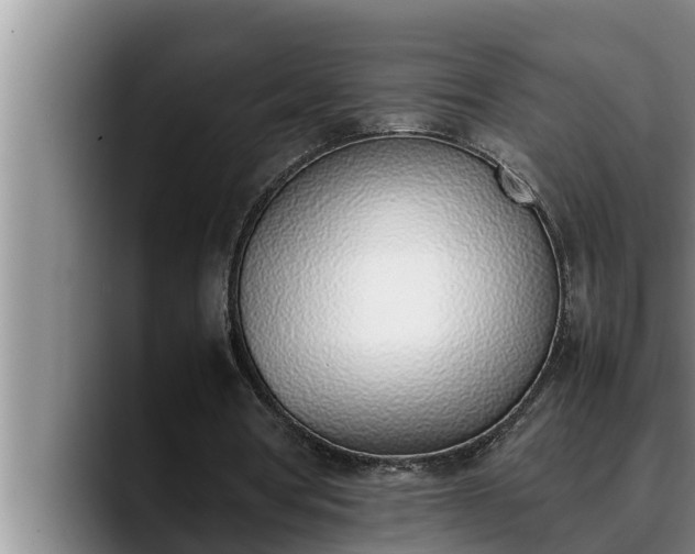X0000090410386200707201104