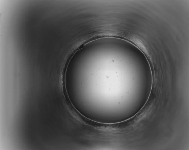 X0000090410389200707201104