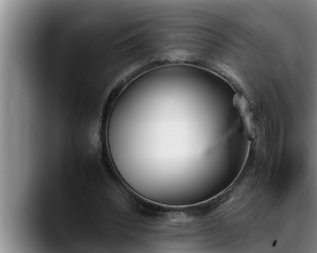 X0000090410392200707201104