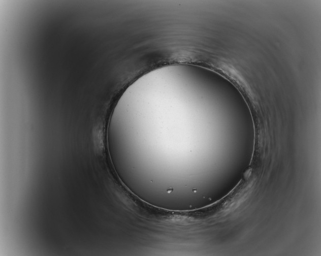 X0000090410393200707201104