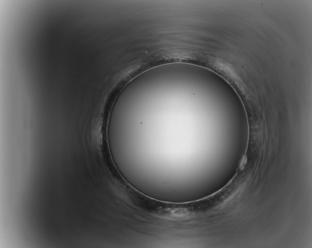 X0000090410395200707201104