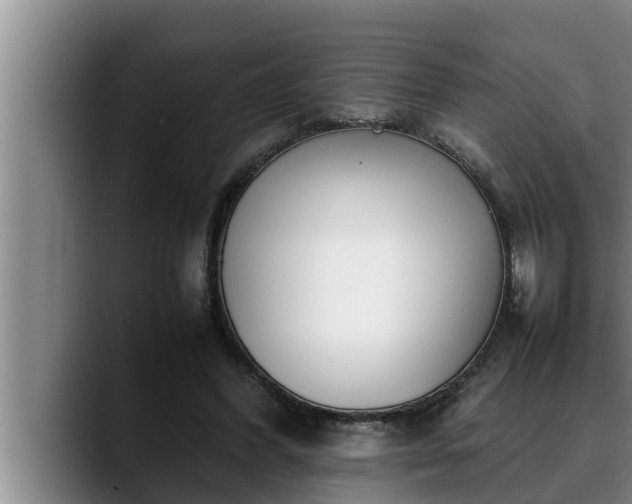 X0000090410396200707201104