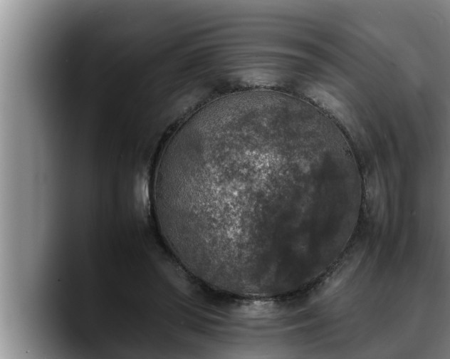 X0000090410398200707201104