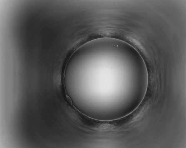 X0000090410399200707201104