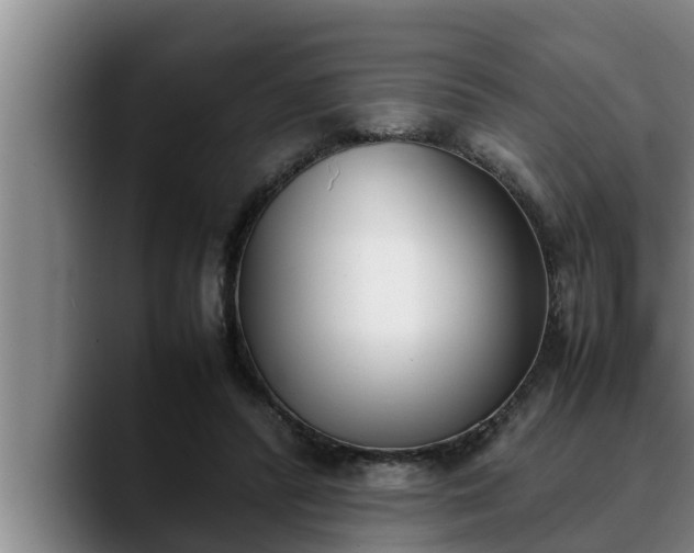 X0000090410400200707201104